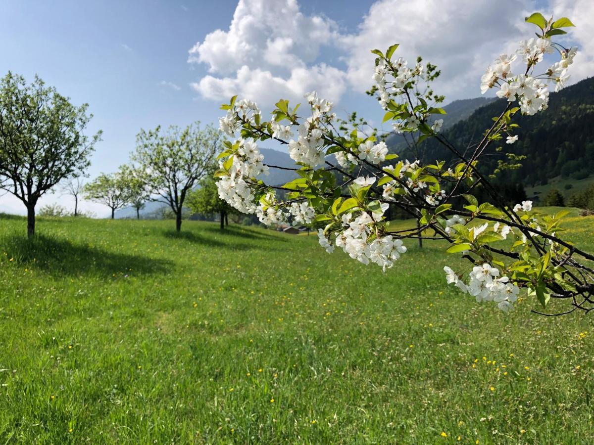 Alpenhof Kruen Hotell Eksteriør bilde