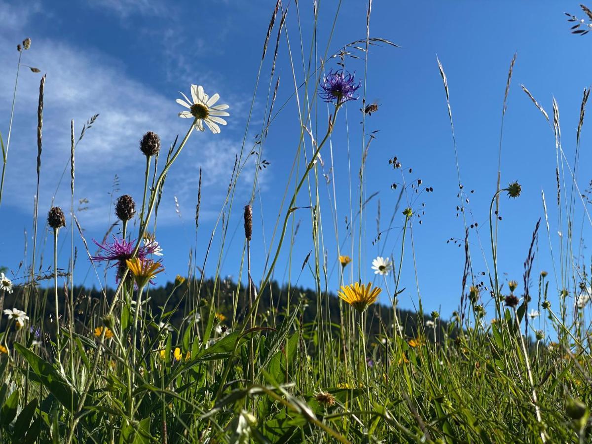 Alpenhof Kruen Hotell Eksteriør bilde