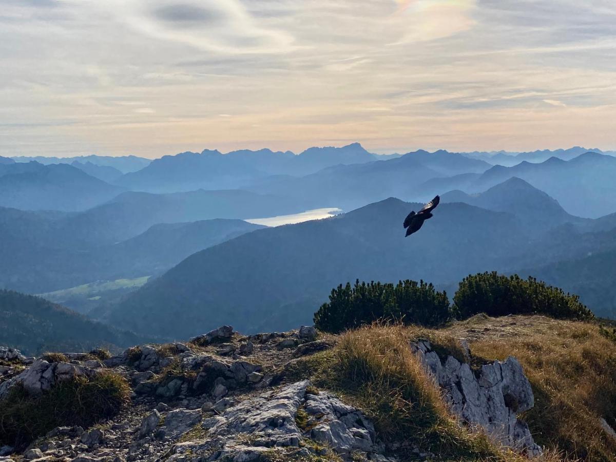 Alpenhof Kruen Hotell Eksteriør bilde