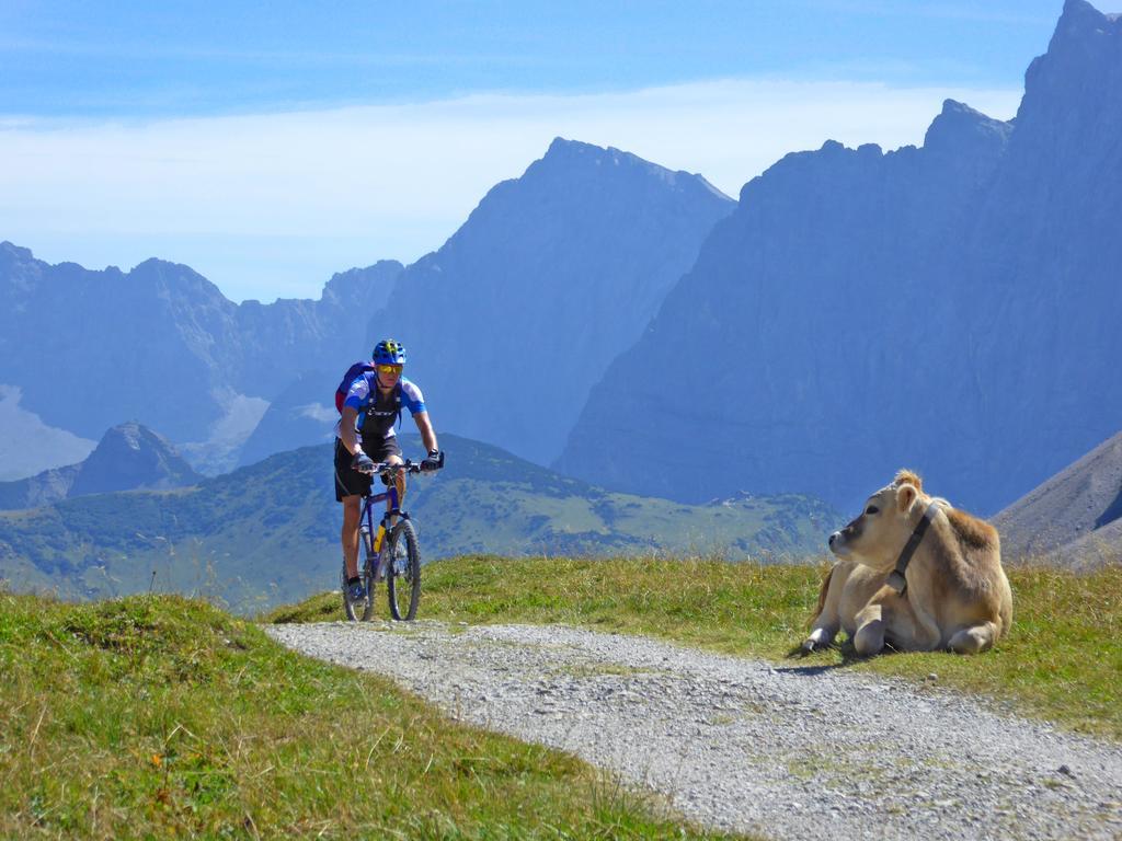 Alpenhof Kruen Hotell Eksteriør bilde